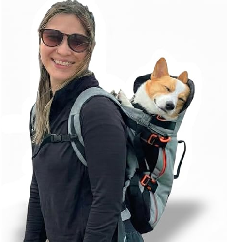 Maxine One Dog Backpack Carrier for Medium Dogs by Little Chonk | Adjustable & Ergonomic Front Facing Dog Carrier Backpack | Built to be Safer | Pet Backpack Carrier Featured in Wired Magazine - Gray