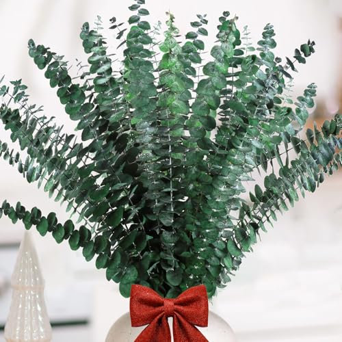 Neuytiky 20 Piezas Eucalipto Secado Naturales Flores Secas de 43cm,Hojas De Eucalipto Flores Secas Naturales Tallos De Eucalipto Real,para Decoración de Casas,Fiestas