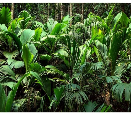 decomonkey - Papier Peint Panoramique Adhésif Plantes 294x210 cm - Stickers Muraux Chambre Déco XXL Autocollant - Vert turquoise - Feuilles tropicales forêt plantes nature photographie jungle