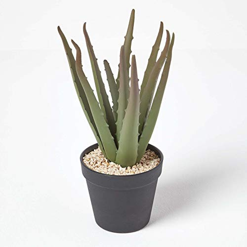 HOMESCAPES Lifelike Small Artificial Succulent Potted Aloe Vera Plant In Round Black Plastic Pot, 30cm Tall Lifelike Faux Cactus For Indoor Decoration