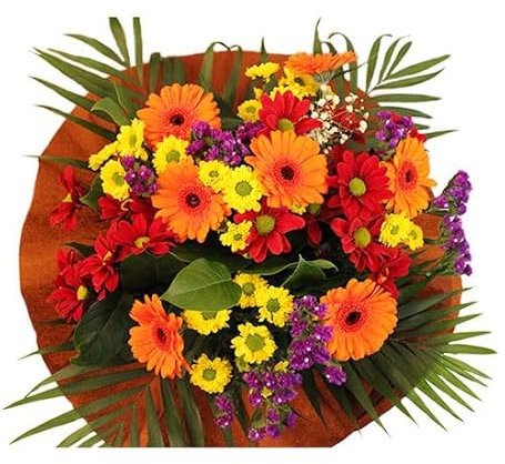 Autumn Burn Bouquet Fresh Flowers Orange Gerberas, Yellow Red Chrysanthemums Bright Arrangement Gift Chocolate (Chocolate)