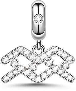 GNOCE Sternzeichen Charms Constellation Charms Anhänger Sterling Silber Sternzeichen Dangle Charms mit Zirkonia fit für Armband/Halskette Frauen Mädchen (Wassermann)