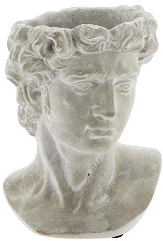 Lucky Winner Greek Statue Head Cement Man Head David Planter (9)