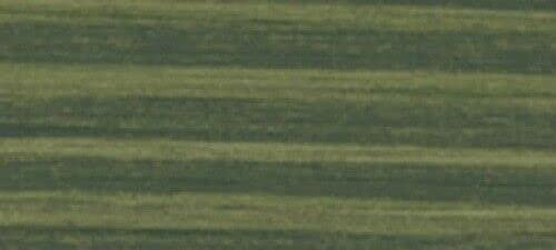 Farben-Budimex Profi-Industrie Holzschutzlasur 2 in 1, 5 Liter (grün)