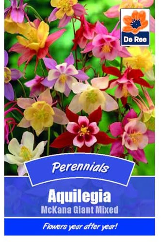 Flower Seeds Aquilegia McKana Giant Mixed - 39 Seeds Packet Plant Bedding Borders Containers Pots Grow Your Own Garden Plant Seed
