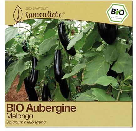 Samenliebe BIO Auberginen Samen | Melonga - sehr groß & fleischig - samenfestes BIO Saatgut