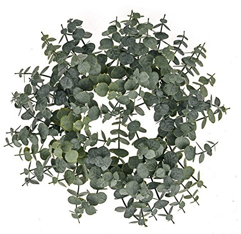 FloristryWarehouse Künstlicher Eukalyptuskranz, spiralförmig, 30,5 cm