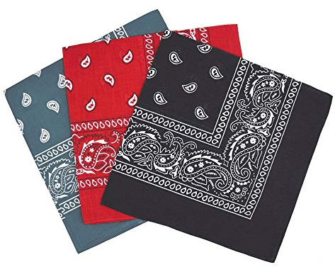 Set 3 Stück Unisex Bandana Kopftuch mit Paisley Muster Halstuch, Haar Schal für Damen und Herren (2)