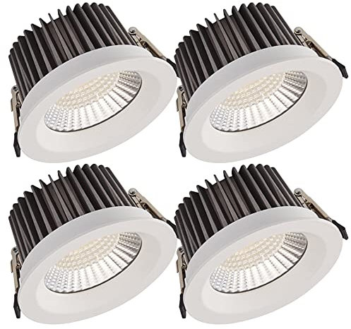 FAZRPIP 4 Stück wasserdichter LED-Downlight-Einbaustrahler für Badezimmer, Küche, Toilette, runde Platte, Innenbeleuchtung, 10 W, 20 W, 30 W, 40 W, 50 W, Augapfel-Nachrüststrahler