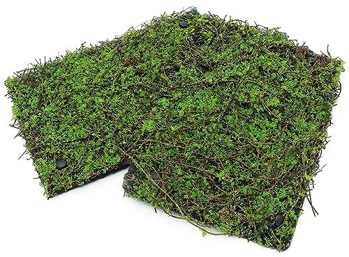 AQUA KT Terrarium Moss Background Backdrop Wall Artificial Reptile Amphibian Cage Decoration for Lizard Bearded Dragon Snake Frog Chameleon Climbing, Pack of 2