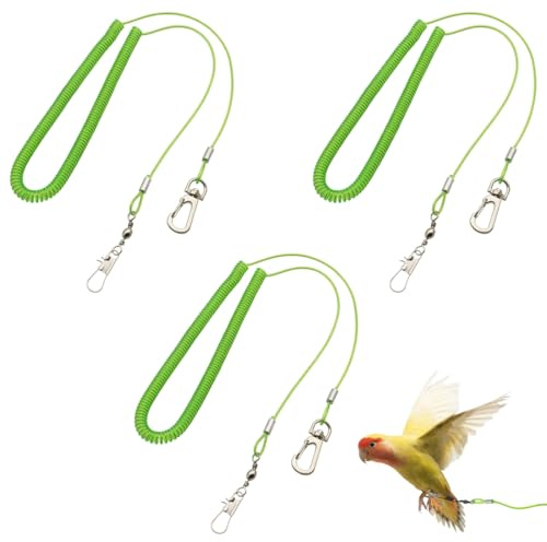 3 Pz Corda Volante per Pappagallo, Catena da 5 m per piede di pappagallo per addestramento al volo, guinzaglio per pappagalli, imbracatura da allenamento con cordino elastico anti-morso(verde)