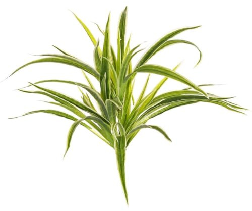 artplants.de Artificial spider plant Tasmin, green-white, 35cm, Ø40cm