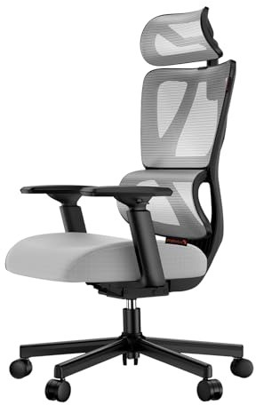 ProtoArc EC100 Ergonomischer Bürostuhl – Computer-Schreibtischstuhl mit 10 cm dickem Federkissen, Lendenwirbelstütze, Verstellbarer Armlehne & Kopfstütze, Mesh-Drehstuhl für Home-Office, Grau
