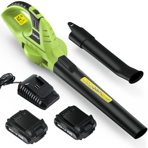 bigzzia Cordless Leaf Blower with 20V Li-ion Battery×2, Electric Garden Blower, 2-Speed, Detachable Tubes, 3.3 IBS Lightweight, 209CFM Blower for Leaf Dust Snow