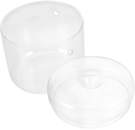 Terrarium pour Plantes Contenant en Verre pour Micro-Paysage Bouteille Transparente pour Décoration Intérieure Jardinière pour Fleurs Et Mousse