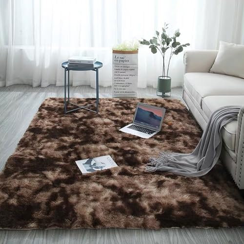 SBJKLYRN Carpeting Carpets Modern Tie-dye Carpet Light Luxury Minimalist Style Washable Long Plush Rugs Living Room Décor Extra Large Shaggy Rug For Home Decor(Tie Dye Brown,60 * 120)