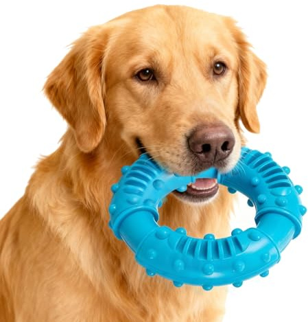Hundleksak oförstörbar gummi för stark tugg, oförstörbar hundleksak, lekfull tandvårdsring, hållbar naturgummi tuggleksak för små, medelstora och stora hundar (13 cm blå)