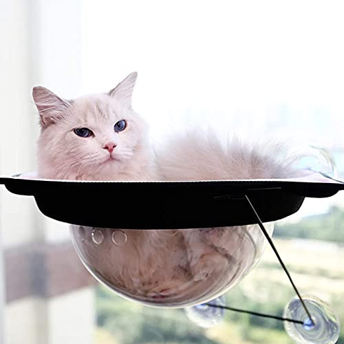 Katzen Hängematte Katzenbett, Katzenhängematte, Haustier-Hängebett, Katzenfensterstangen, Katzensitz mit Saugnapf 37 x 37 cm Langlebig für Haustiere 20 kg, Orange llxyzrzbhd712