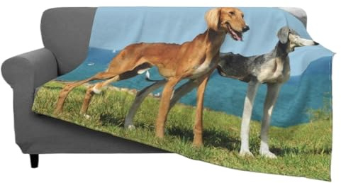 BGMCSFerG Saluki, coperta in pile per amanti dei cani, super morbida, coperta per divano e letto