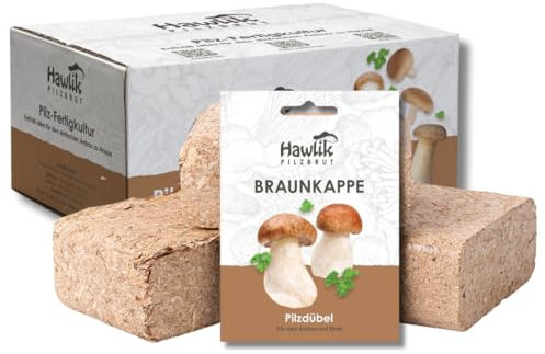 Hawlik Pilzbrut Set da coltivazione di funghi per il giardino, con cappuccio marrone, per la coltivazione di funghi in giardino, ideale per principianti e da regalo, paria di paglia rugosoannulata
