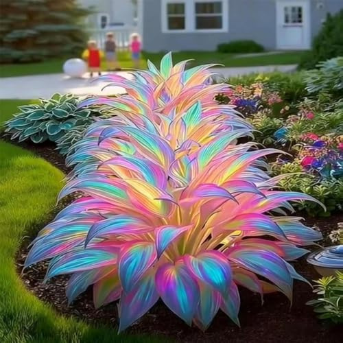 Mixrug Mixed Hosta Seeds Collection(305+ Seeds),Variegated Foliage Shade Plants,Giant to Dwarf Perennial Ground Cover Seeds for Low Maintenance Gardens Outdoor