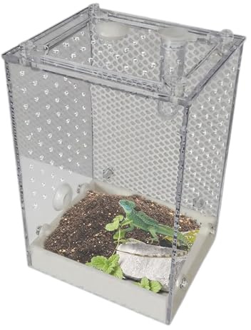 Hoppspindel Terrarium Ventilerad Uppfödningslåda | Genomskinligt Terrarium För Skalbaggar För Bönskräckor Skorpioner Skalbaggar Myror Kackerlackor Spindlar Syrsor Utomhus Zoo