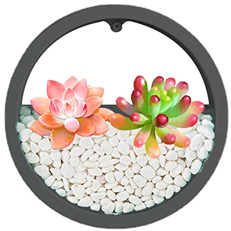 Transparenter Blumenkasten zur Wandmontage, runder Wand-Blumentopf, Luftträger in transparenter Vase | Wandvase für Sukkulenten, runder Blumentopf, dekorativer Behälterhalter