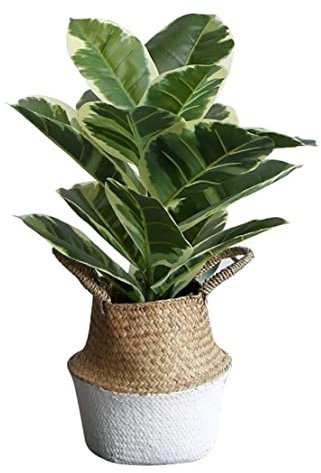 CVNIMV Kunstpflanzen Kunstpflanze Nordic Greenery Plant Kunstbaum Pflanze Gummibaum Indoor Bonsai Kunstbäume Grünpflanze Home Office Dekoration Artif