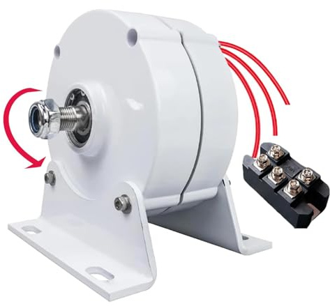 HUIZHITENGDA 48v,12000W geräuscharmer 50HZ 3-Phasen-Generator-Permanentmagnetgenerator mit Lichtmaschine, 12V-220V für Windkraftanlage Wasserturbine (mit Controller 12V)