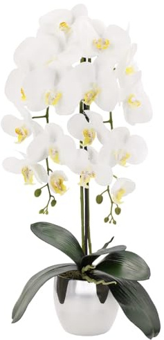 TreesHouse Premium Orchideen Künstlich XL 60cm I Künstliche Orchideen wie Echt I Blumen Deko I Künstliche Orchidee im Topf I Hergestellt in der EU I 2 Stängel - 18 Blüten, Weiß (Silberner Blumentopf)