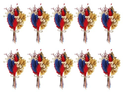 PATIKIL Mini Getrockneter Blumenstrauß, 10 Stück Pampas Naturgras Wildblumen mit Stiel Dekor Gipskraut Boho Blume für Basteln DIY Foto Requisiten Geschenk Hochzeit Dekor, Blau Rot
