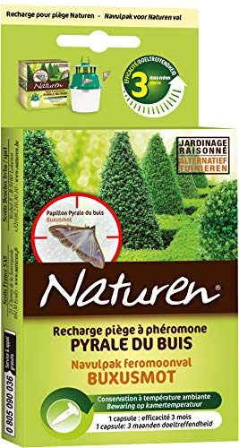 NATUREN NPHEPYR2 - Recharge Piège à Phéromones pour Pyrale du Buis x1 - Capsule de phéromone Efficace 3 Mois - S'utilisent avec Le piège Pyrale du buis Conservation à température ambiante