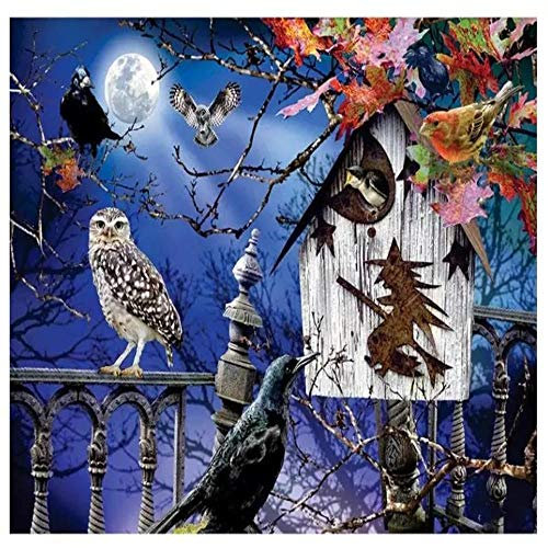 Yingxin34 Puzzles 3000 Teile, Ballon Landschaft Rahmenpuzzle, Puzzle Spiel Geschenk, DIY Puzzle Würfel Eule beim Vogelhaus Impossible Puzzle, Geschenk Geschicklichkeitsspiel für die Ganze Familie