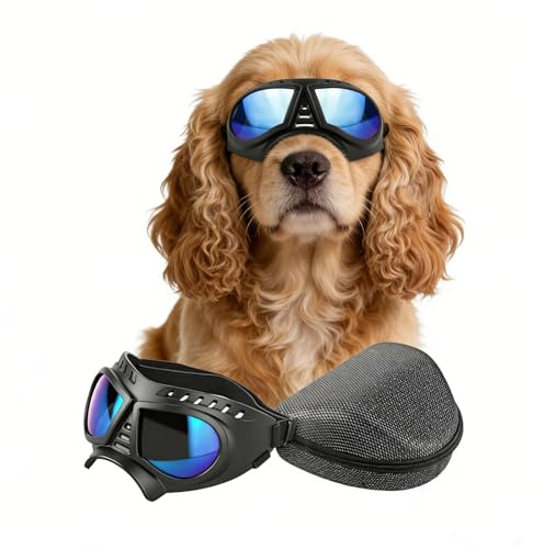 NAMSAN Gafas de Sol para Perros con protección Ocular y Anti Rayos UV, Resistentes al Viento, con Correas Flexibles Ajustables para Perros pequeños y medianos (Azul)