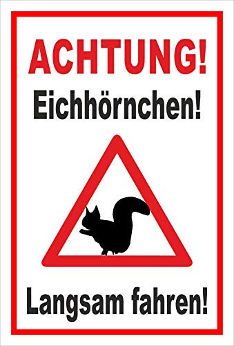 Melis-Folienwerkstatt Schild Eichhörnchen langsam Fahren - 30x20cm - Bohrlöcher - 3mm Aluverbund – 20 VAR S00359-160-B