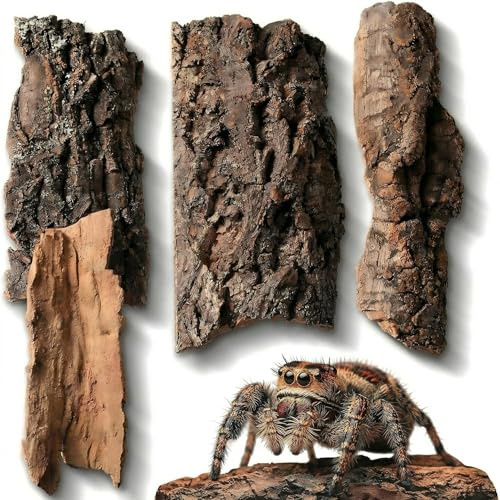 4pcs Reptile Bark Decor Wood, Natural Cork Bark, Bark Cork Hides Water Bark Tube Decor,Reptile Bark Cork Wood Bark Terrarium for Bearded Dragon Lizard Geckos Tortoise Random Shape Random Size Deliver