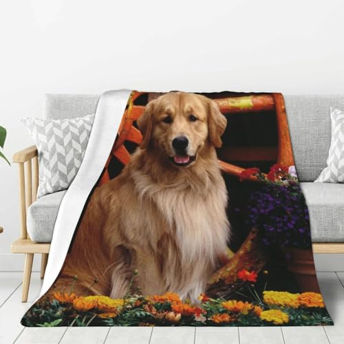 LfearTesa Coperte per divani e poltrone, copriletti, coperte da viaggio, coperte per divani e letti, fiori di Golden Retriever,40x30