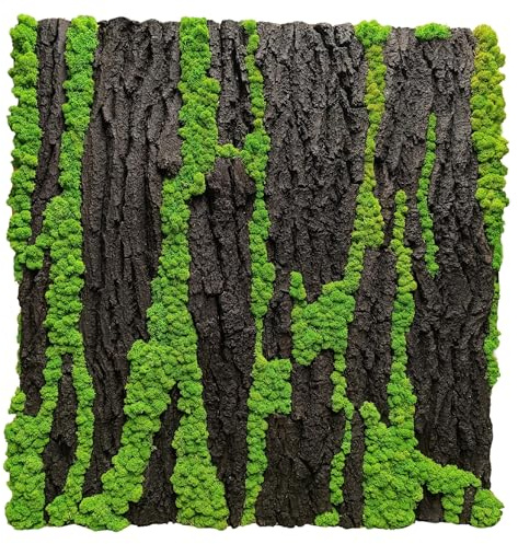 Moosplatte mit Rentiermoos und Eichenrinde Moosbild Rentiermoosbild Islandmoos Rentiermoos Moos Wandbild Wanddeko Wandbilder mit Rentiermoos Mooswand Bilder Wanddekoration mit Moos (50x50 cm)