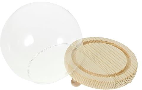 POPETPOP Transparente Glaskuppel mit Holzsockel Staubdichte Kugelglasglocke für Pflanzen Mikro Landschaften und Dekoration Langlebige Glasglocke mit Natürlichem Holzfuß Display für Zuhause
