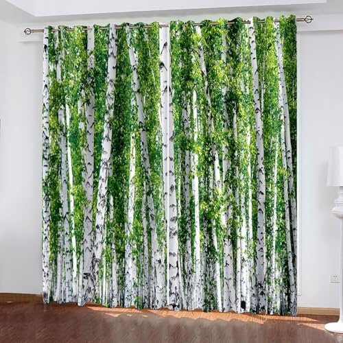 Dsnyu Curtains Kitchen, Vorhänge Wohnzimmer Modern Weiß Grün Polyester Birkenwald Gardine 2er Set B 86 x H 115 cm