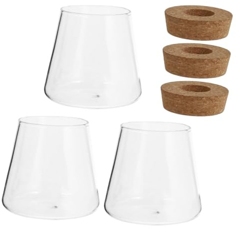 Cabilock 3pezzi Vaso Propagazione in Vetro Con in Legno Piccolo Idroponico Per Piante Stazione Propagazione Da Tavolo Bottiglia Trasparente Per Amanti Delle Piante Fiori