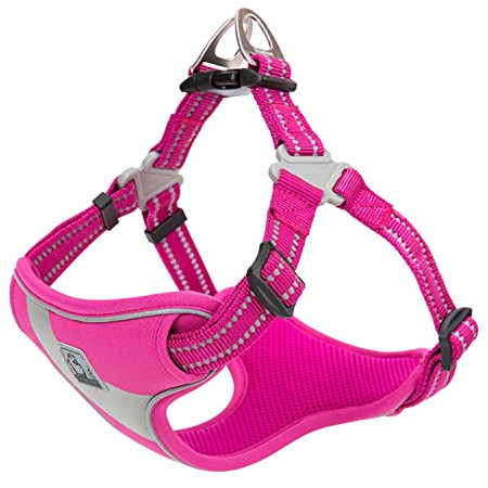 Truelove Step-in Dog Harness, Reflective, Breathable, Fushcia, S | Easy Wear, Balanced Chest Pressure, Adjustable, Lightweight, Small/Med Dogs, Cat Vest, Bright Colors, Outdoor Use, TLH5991