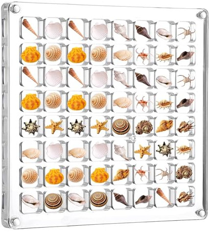 YCHYAN 64 Fächer Acrylic Seashell Display Box, Klare Muschel Sammelbox, Magnetic Shell Aufbewahrungsbox, Box Multifunktional Transparent, Magnetischer Verschluss, Muscheln, Edelsteine Display Box