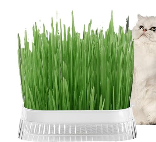 Cat Grass Seed Tray - Hydroponic Cat Grass Planter | Plant Bowls for Cat Grass | Hydroponic Cat Grass Cup | Soilless Culture Cat Grass Planting Container | Cat Grass Sprouting Trays for Indoor