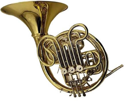 Waldhorn 4 Tonarten Bb Stimmung F Stimmung Doppeltes Waldhorn Professionelles Musikinstrument Mit Koffer