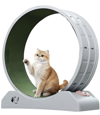 Cat Wheel for Indoor Cats Large Cat Exercise Wheel & Treadmill with Silent | Versatile Cat Wheels for Indoor Cats Running Wheel Carpeted Runway, Safety Lock for Kitty Weight Loss & Health