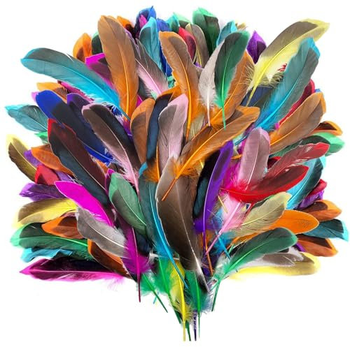 MHYMX Federn zum Basteln, 100 Stück Bastelfedern Bunte Federn Basteln Kunstfedern für DIY Ohrring Hochzeit Traumfänger Haarschmuck Maskenherstellung Kopfschmucksfedern Schulhandwerk