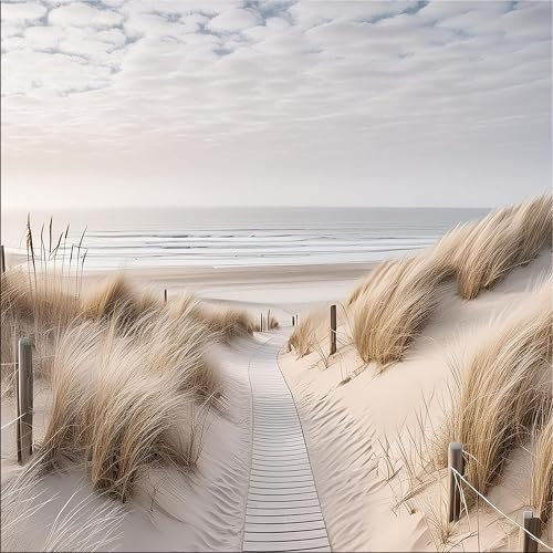 artissimo, Glasbild, 50x50cm, AG5567A, Strand und Meer: Dünenlandschaft II, Bild aus Glas, moderne Wanddekoration aus Glas, Wandbild Wohnzimmer modern, blau beige