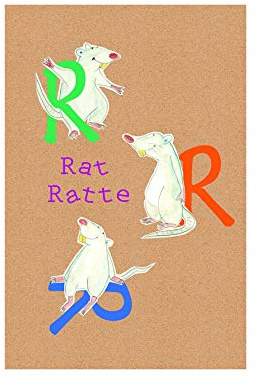Komar Wandbild | ABC Animal R | Poster, Kinderzimmer, Buchstaben, Bild, Wohnzimmer, Schlafzimmer, Dekoration, Kunstdruck | ohne Rahmen | P036R-30x40 | Größe: 30 x 40 cm (Breite x Höhe)