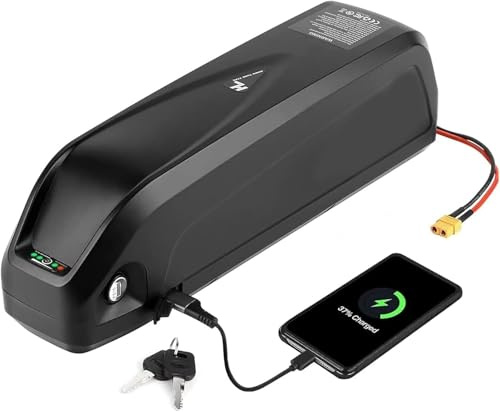 48V 20AH Ebike Akku, 48V Fahrrad Batterien mit Ladegerät 5 Pin Grundplatte eingebauter BMS wasserdichter PVC-Akku für 200W 500W 750W 1000W 1500W 1800W Elektrofahrrad Motor 48V20AH,1000W